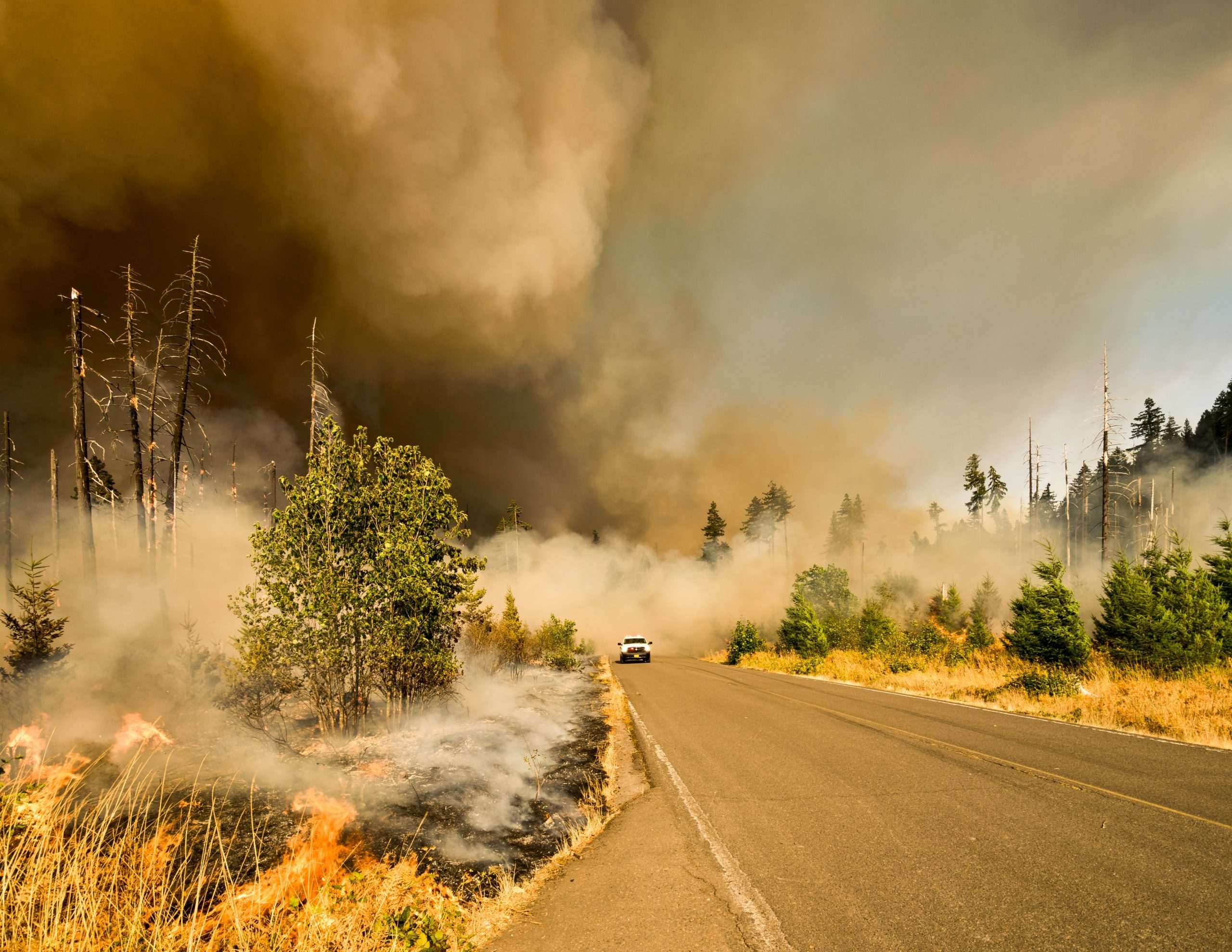 insurance questions for california wildfire season